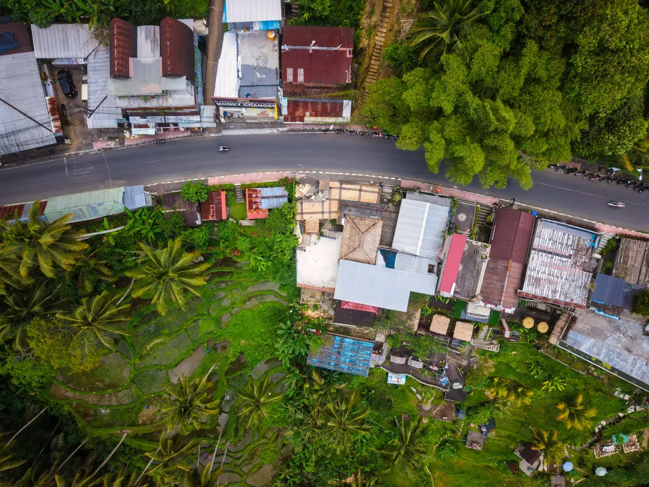 Bali Airport Transfer & VIP Fast-Track (DPS) — luxury car palm road bali