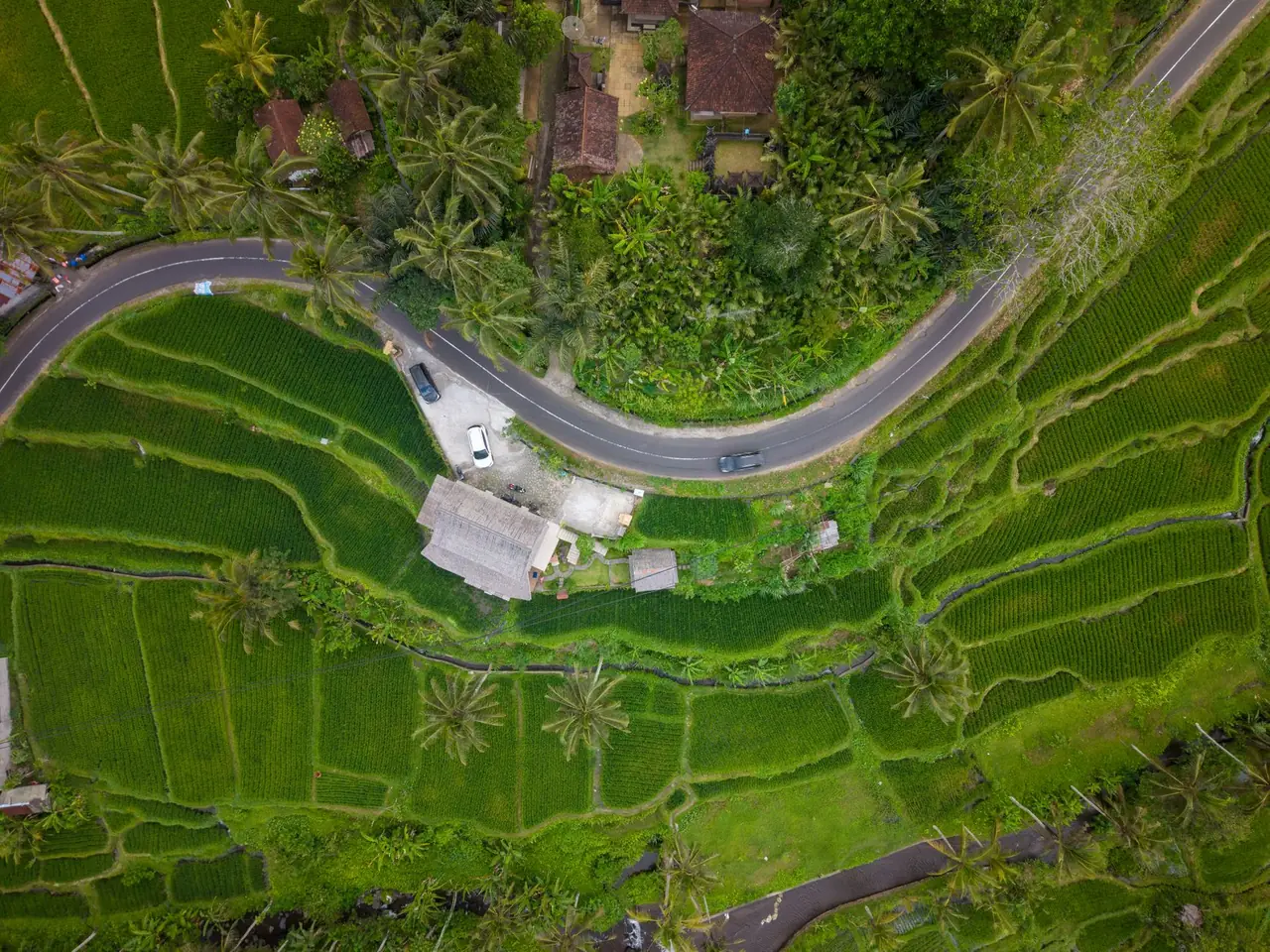 Bali Airport Transfer & VIP Fast-Track (DPS) — luxury car palm road bali